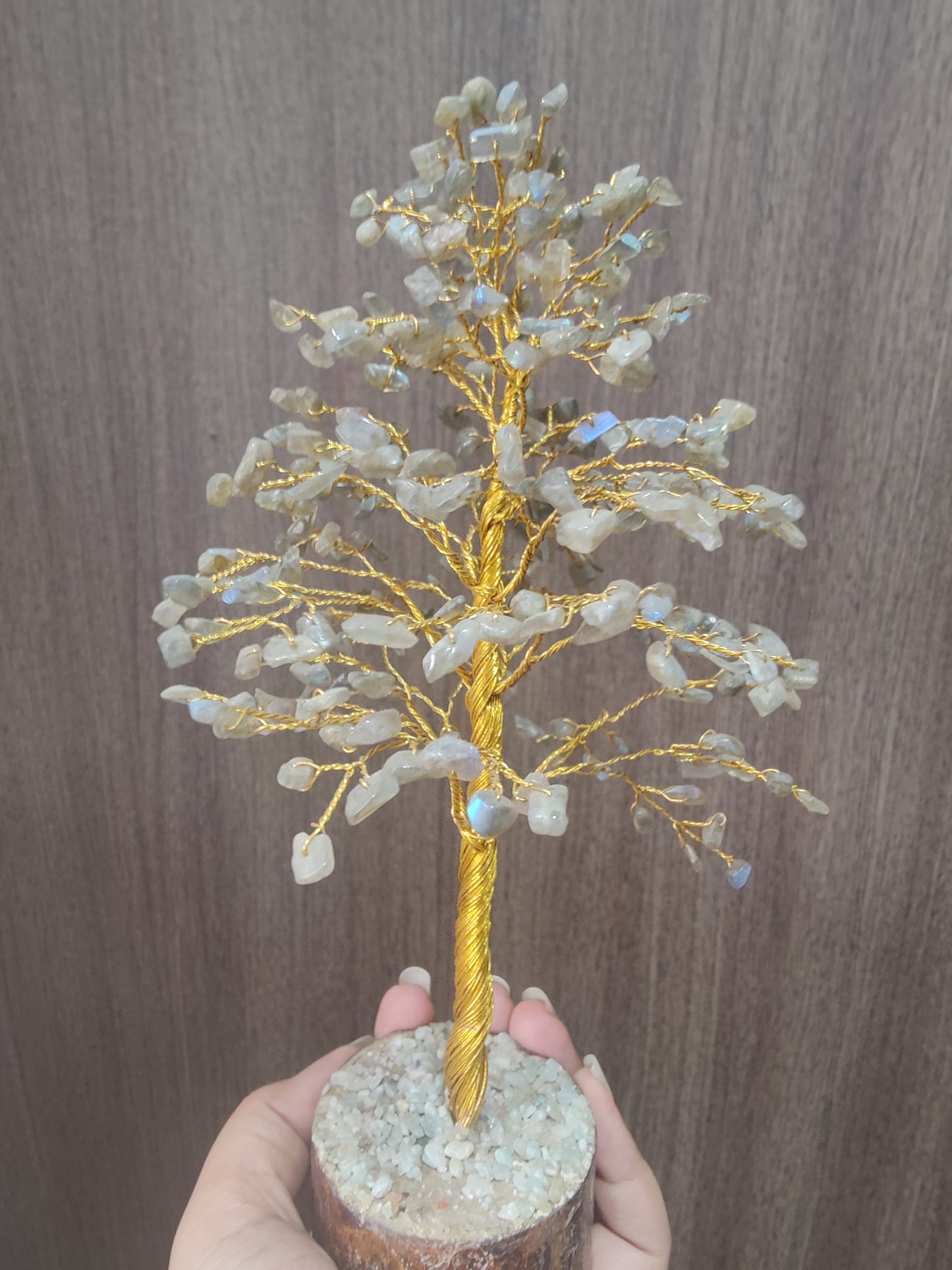 Welcome Change with Labradorite Tree (Wire Base)