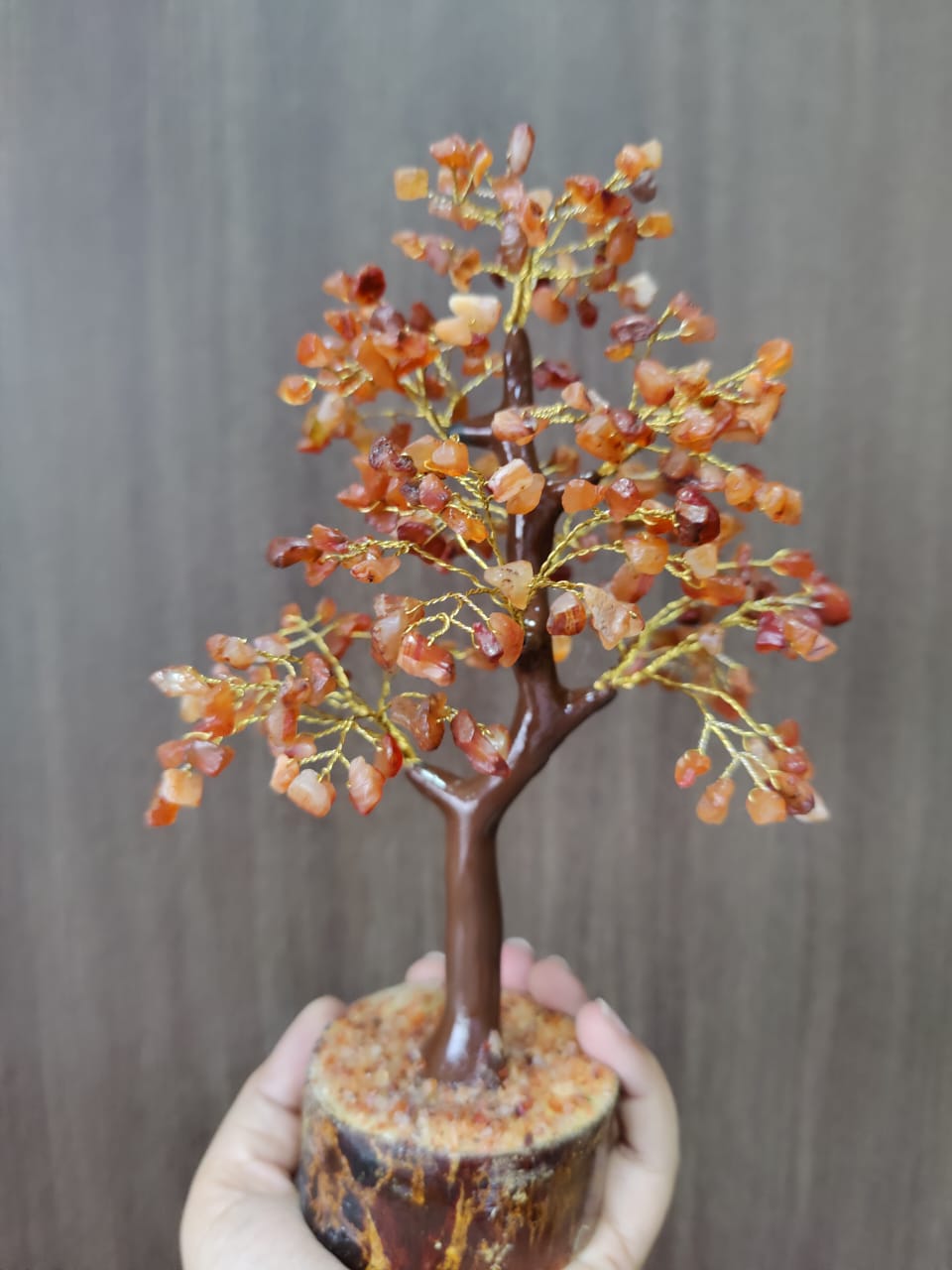 Increase Productivity and Motivation with Carnelian Tree (Wooden Base)