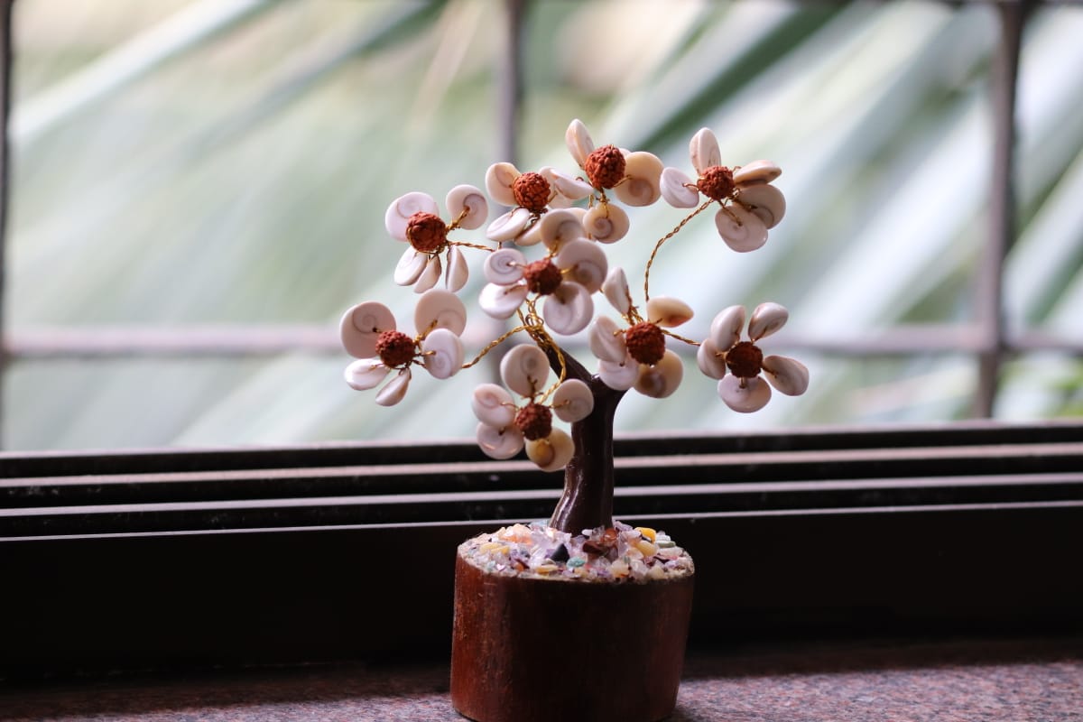 Gomti Chakra and Rudraksha Tree